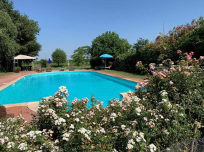  Bordeghina B&B In Farmhouse  Понтеккио Полезине